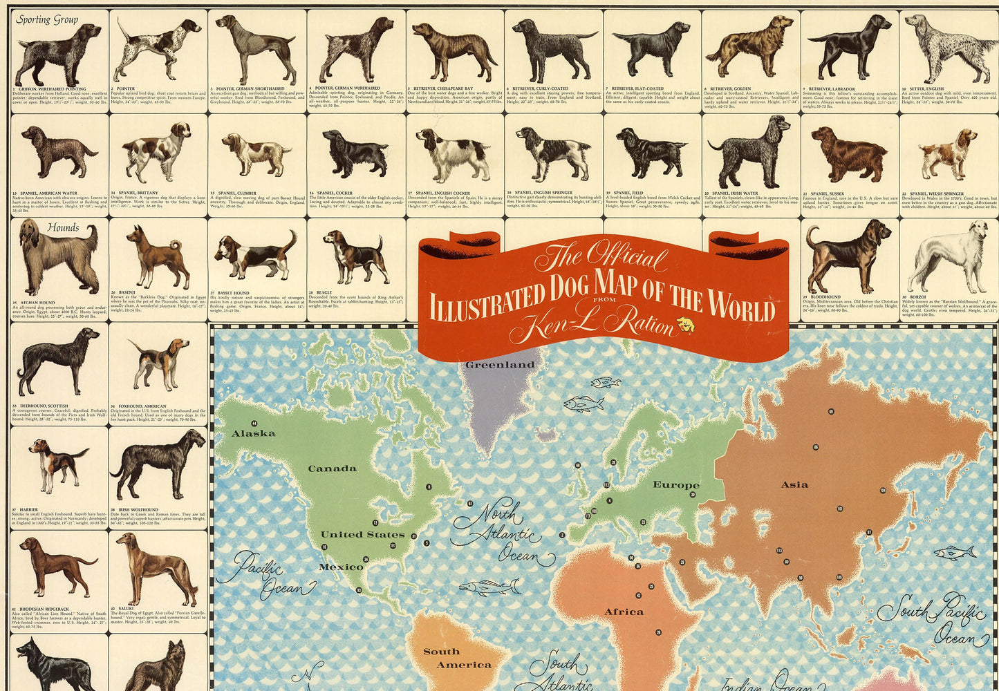 The official illustrated dog map of the world