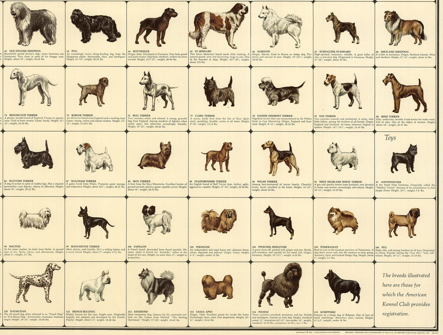 The official illustrated dog map of the world