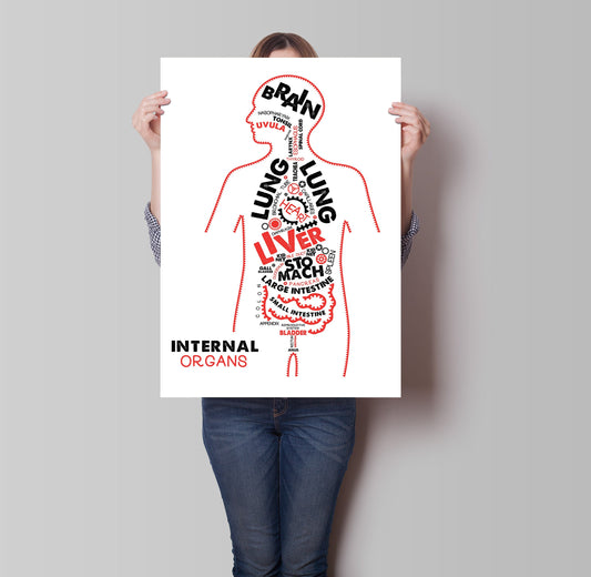 Internal Organs Anatomy Poster / Typographic Anatomy Print / Educational Diagram / Biology Poster / Human Organs / Physiology Illustration