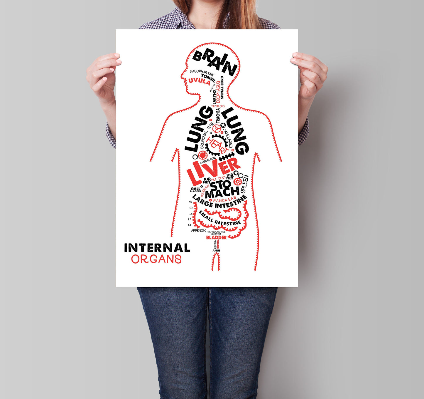 Internal Organs Anatomy Poster / Typographic Anatomy Print / Educational Diagram / Biology Poster / Human Organs / Physiology Illustration